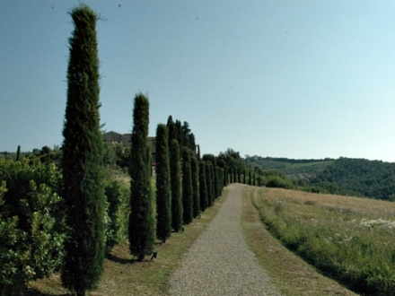  TENUTA FRANCA