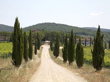  FATTORIA PRATALE