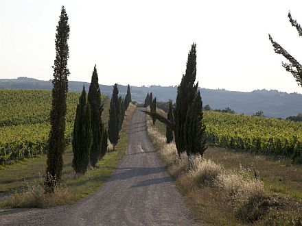  FATTORIA PRATALE