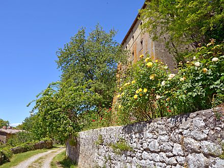  CASETTA DI LILY