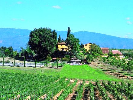  CASA STEFANO - QUERCIA