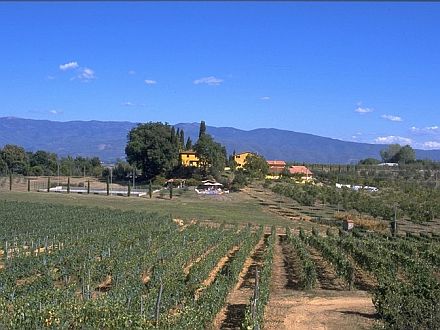  CASA STEFANO - ULIVO