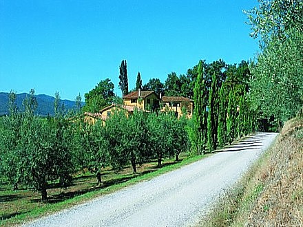  CASA STEFANO - VIGNETO