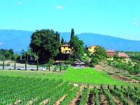  CASA STEFANO - VIGNETO