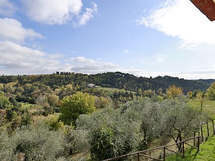  IL ROSINO ALTO