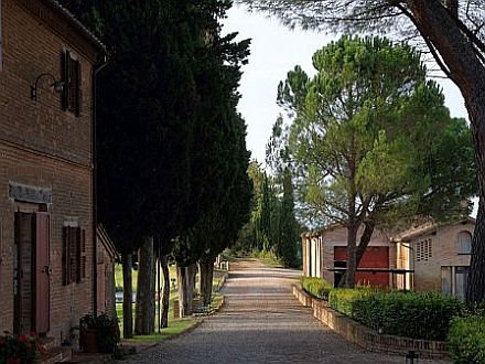  TENUTA LA CAMPANA - CIVETTA