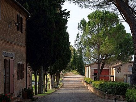  TENUTA LA CAMPANA - CIVETTA