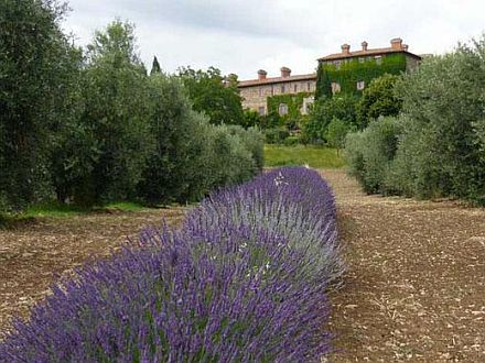  LA FORTEZZA - CASA BERSAGLIERE