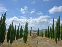  LA PERGOLA