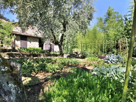  MACENNERE