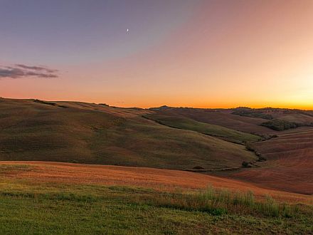   BACCOLENA - FORNAIO