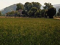  CASA BENCONTENTA