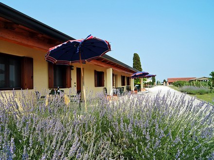  TENUTA REGINA