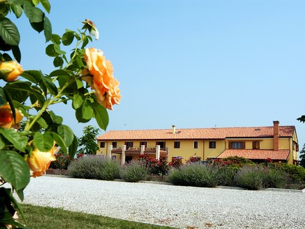  TENUTA REGINA