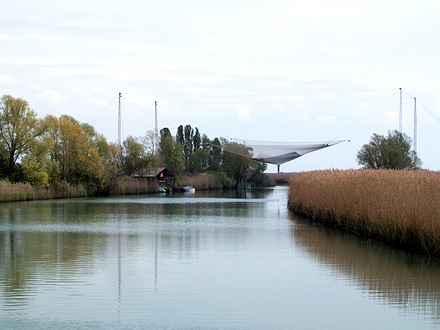  TENUTA REGINA