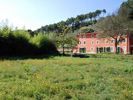  VILLA FLORA