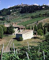  VILLA CAMPASSOLE